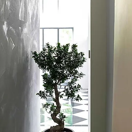 Superior One Boutique Hotel